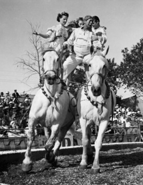 Acrobats performing in a circus Poster Print - Item # VARSAL2558086
