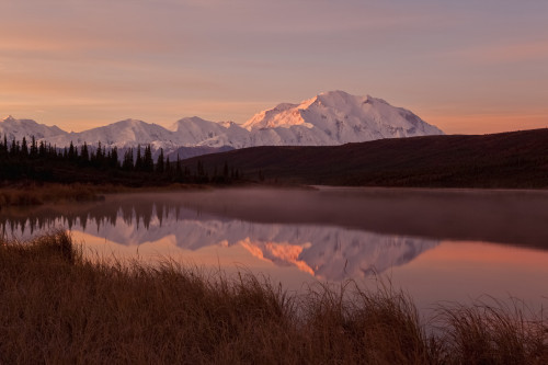 Fog rising off Wonder Lake at dawn with Denali in background, Denali National Park and Preserve, Interior Alaska, USA. PosterPrint - Item # VARDPI12305900