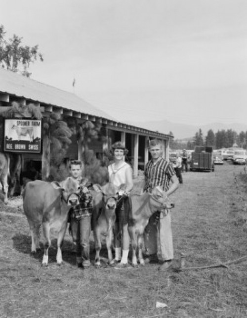USA  New Hampshire  Lancaster  Portrait of parents with son and cow at county fair Poster Print - Item # VARSAL255424949