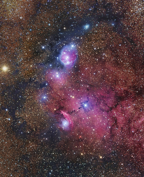 NGC 6559 emission and reflection nebulosity in Sagittarius Poster Print