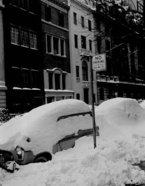 Car covered with snow near no parking sign Poster Print - Item # VARSAL255416975