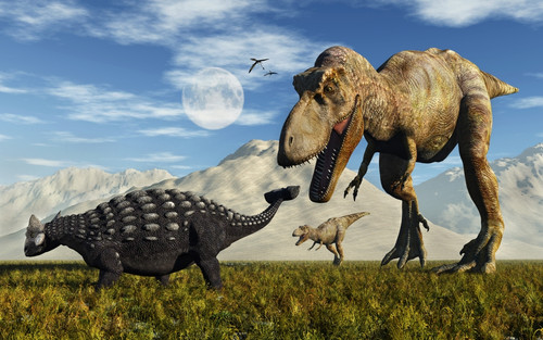 Tyrannosaurus Rex dinosaurs confronting a lone Ankylosaurus Poster Print - Item # VARPSTMAS100921P