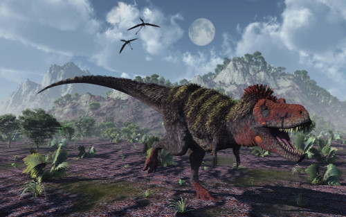 A carnivorous Tarbosaurus dinosaurs hunting for food during the Cretaceous period Poster Print - Item # VARPSTMAS600039P