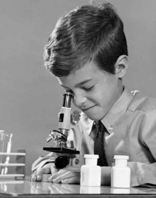 Schoolboy looking through a microscope Poster Print