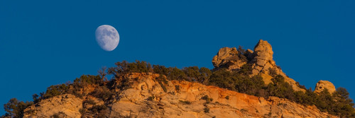 Low angle view of moon over cliffs, Zion National Park, Utah, USA Poster Print - Item # VARPPI167618