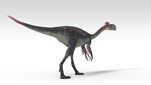 Gigantoraptor dinosaur, white background Poster Print - Item # VARPSTKVA600737P