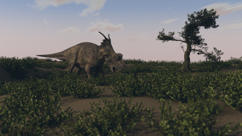 Achelousaurus walking amongst swamp grass Poster Print - Item # VARPSTKVA800819P