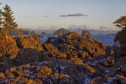 Rocky Coastline With Snow; Ucluelet Vancouver Island British Columbia Canada PosterPrint - Item # VARDPI2092002