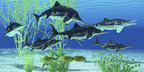 Stenopterygius is an extinct icthyosaur from the Jurassic Age of Europe Poster Print - Item # VARPSTCFR200252P