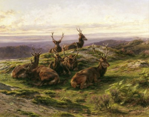 Stags at Rose  Rosa Bonheur Poster Print - Item # VARSAL900128835