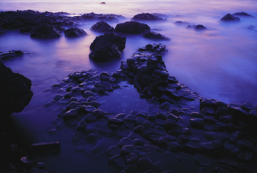 The Giant's Causeway, County Antrim, Ireland; Volcanic Rock Formation PosterPrint - Item # VARDPI1803530