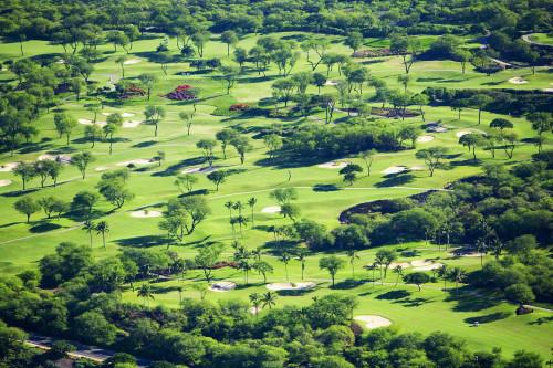 USA, Hawaii, Maui, Aerial Of Wailea Gold And Emerald Golf Courses; Wailea PosterPrint - Item # VARDPI1975701