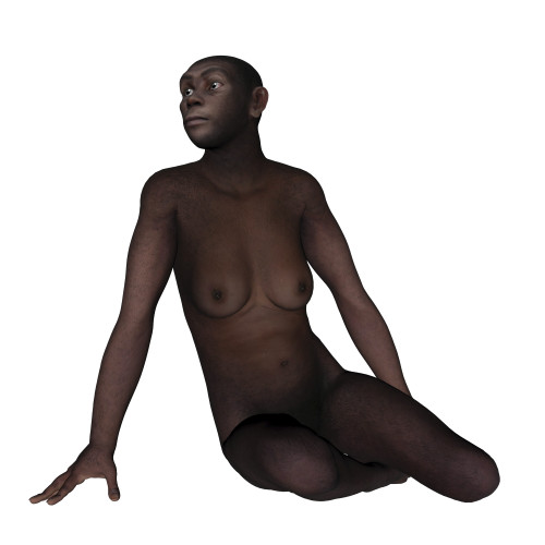 Female homo erectus sitting, white background Poster Print - Item # VARPSTEDV600308P