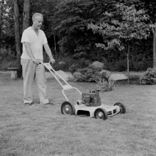 Mature man lawn mowing Poster Print - Item # VARSAL255421651