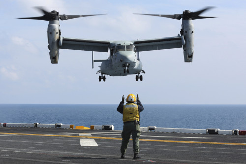 Atlantic Ocean, February 16, 2013 - An aviation boatswain's mate directs the landing of an MV-22 Osprey on the flight deck of the amphibious assault ship USS Kearsarge Poster Print - Item # VARPSTSTK106825M