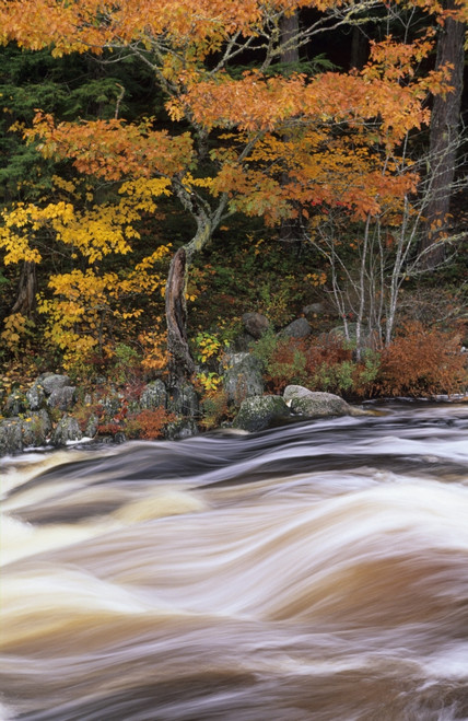 R.Watts; Mills Falls, Ns PosterPrint