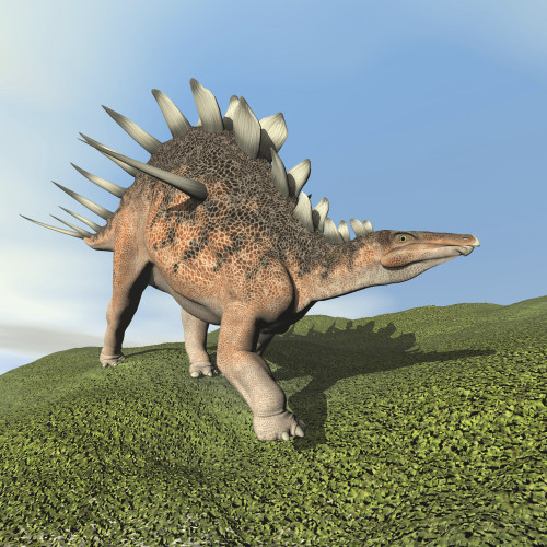 Kentrosaurus dinosaur walking on the grass Poster Print - Item # VARPSTEDV600158P