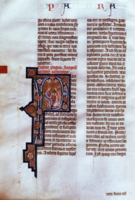 Illuminated Page  Manuscripts  Stift Kremsmunster  Austria Poster Print - Item # VARSAL900622