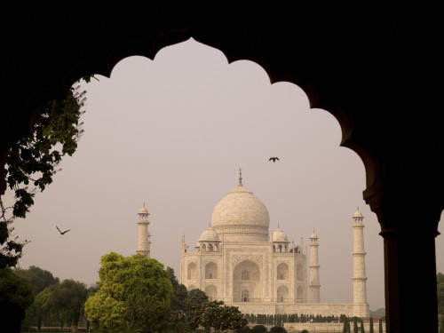 Taj Mahal, Agra, Uttar Pradesh, India PosterPrint - Item # VARDPI1844219