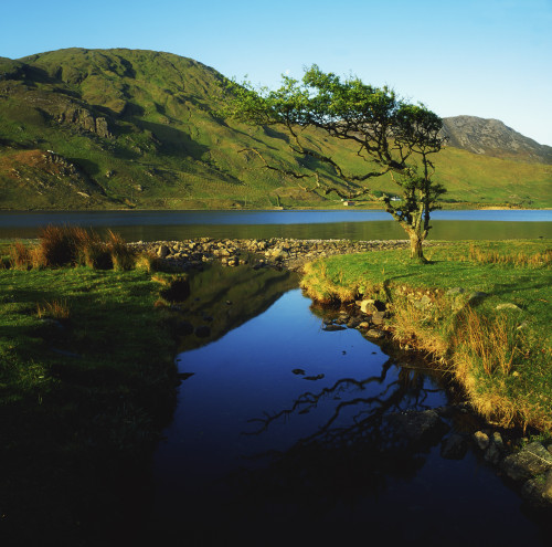 Co Galway, Kylemore Lough, Benbaun Mountain Connemara PosterPrint - Item # VARDPI1808841