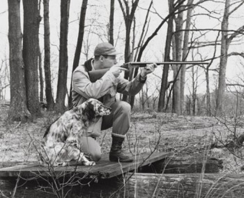 Male hunter aiming with his rifle Poster Print
