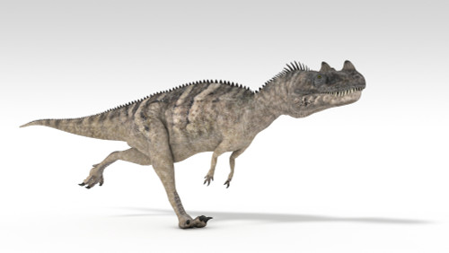 Ceratosaurus dinosaur, white background Poster Print - Item # VARPSTKVA600717P