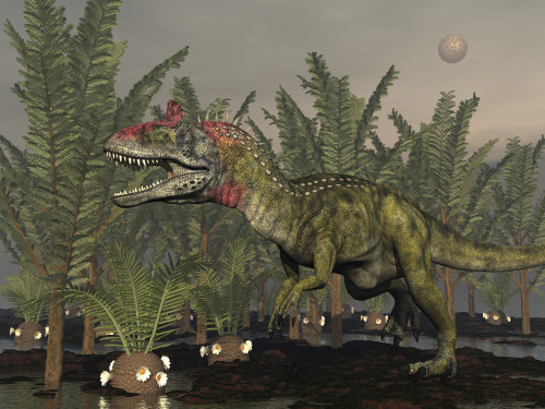 Cryolophosaurus dinosaur walking amongst pachypteris trees and cycadeoidea plants Poster Print - Item # VARPSTEDV600224P