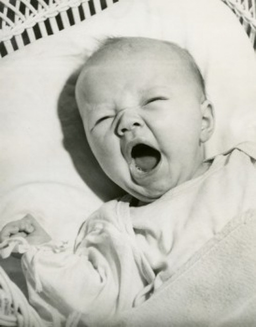 Portrait of baby Poster Print - Item # VARSAL2559621