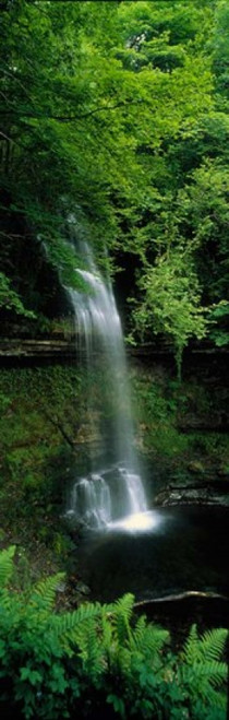 Yeats Waterfall  Ireland Poster Print by Panoramic Images (12 x 38) - Item # PPI45188