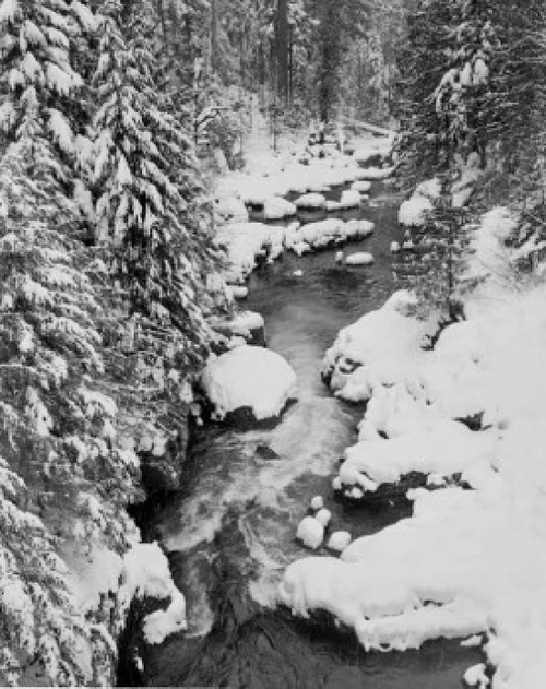 Cascade Range  Stream in winter Poster Print