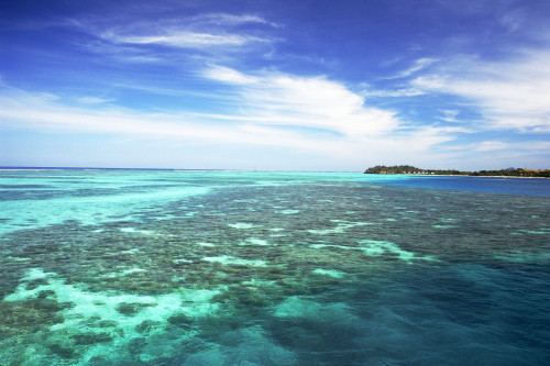 Fiji, View from ocean to Mana Island; Mamanuca Islands PosterPrint - Item # VARDPI1985705