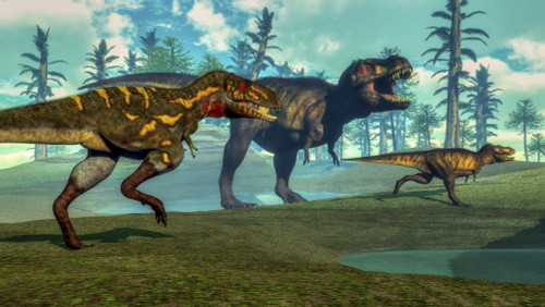 Nanotyrannus hunting a small Tyrannosaurus next to its parent. Araucaria and Tempskya trees in background Poster Print - Item # VARPSTEDV600253P