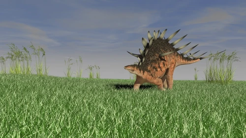 Kentrosaurus walking across a grassy field Poster Print - Item # VARPSTKVA600574P
