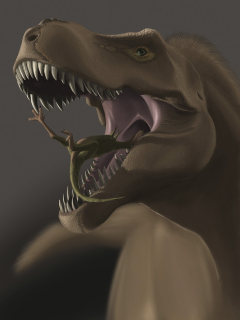 Close-up of Tyrannosaurus Rex eating a small animal Poster Print - Item # VARPSTMDE100021P