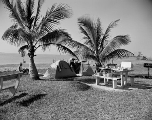 Campers relaxing on beach with palm trees Poster Print - Item # VARSAL255416183