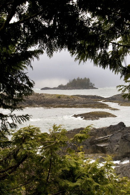 Coastal Scenery, Tofino, British Columbia, Canada Poster Print (8 x 10) - Item # MINDPI1851722