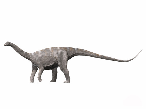 Nigersaurus taqueti, Early Cretaceous of Niger Poster Print - Item # VARPSTNBT600025P