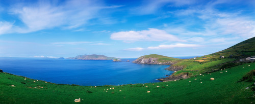 Co Kerry, Dingle Peninsula, Slea Head & Blasket Islands PosterPrint - Item # VARDPI1812442