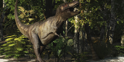A mighty Tyrannosaurus Rex hunts for prey in a dense jungle Poster Print