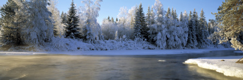 River Dal Dalarna Sweden Poster Print - Item # VARPPI66064