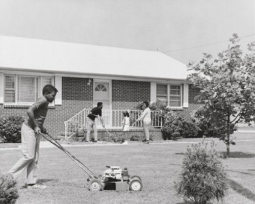 Teenage boy mowing the grass with a lawn mower Poster Print - Item # VARSAL25532190