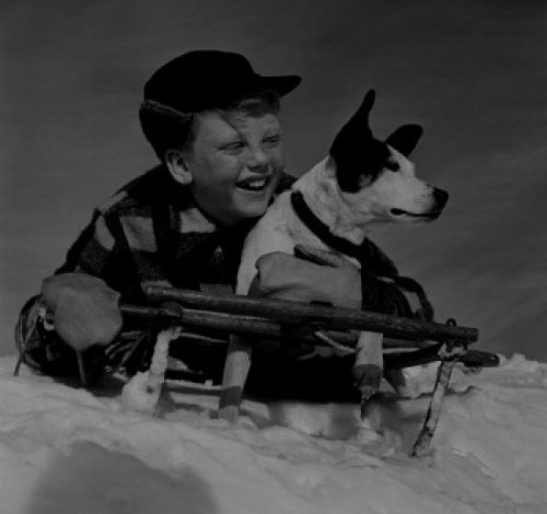 Boy sledging with dog Poster Print - Item # VARSAL255423329