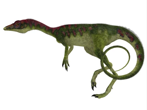 Compsognathus dinosaur, side profile. Compsognathus was a small carnivorous theropod that lived during the Jurassic Period of Europe Poster Print - Item # VARPSTCFR200601P