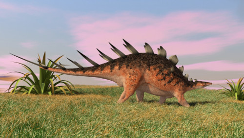Kentrosaurus walking across prehistoric grasslands Poster Print - Item # VARPSTKVA600249P