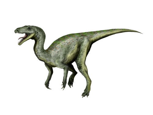 Gojirasaurus dinosaur, white background Poster Print - Item # VARPSTNBT600107P