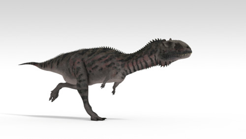 Majungasaurus dinosaur, white background Poster Print - Item # VARPSTKVA600749P