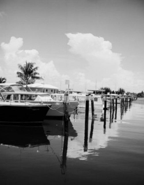 USA  Florida  Fort Lauderdale  Bahia Mar Marina Poster Print - Item # VARSAL255424816