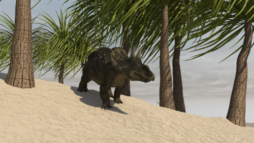 Triceratops walking in a tropical environment Poster Print - Item # VARPSTKVA600267P