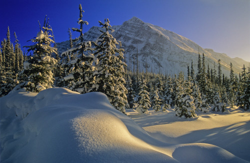 Winter Scene, Boom Lake, Banff National Park, Alberta PosterPrint - Item # VARDPI2025929