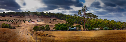 Scenic view of field against cloudy sky, Western Australia, Australia Poster Print - Item # VARPPI169356
